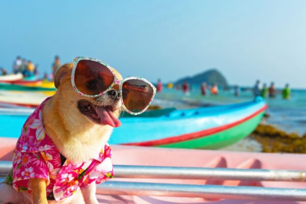 hotel per cani cesenatico