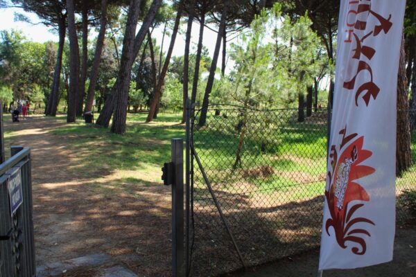 hotel sayonara cesenatico fronte pineta