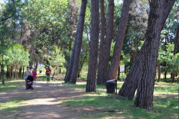 hotel sayonara zadina cesenatico fronte pineta